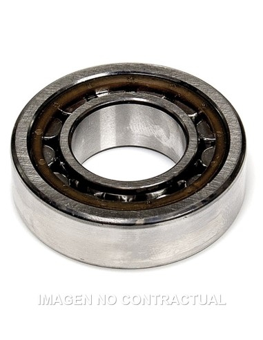 COJINETE DE CIGUEñAL MALOSSI 25X25X15 C3