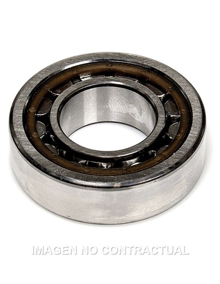 COJINETE DE CIGUEñAL MALOSSI 25X25X15 C3