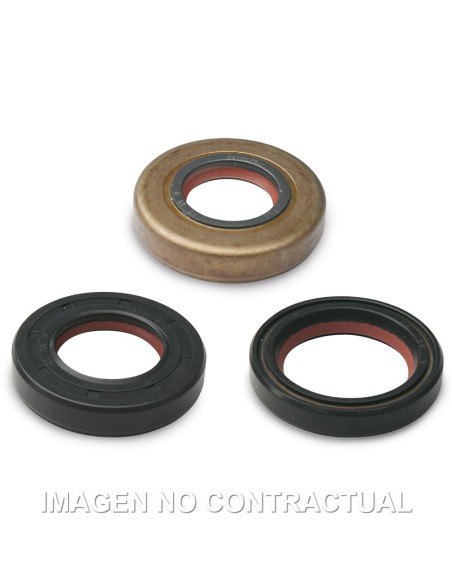 JUEGO RETEN ACEITE FKM/PTFE MALOSSI MINARELLI AM6