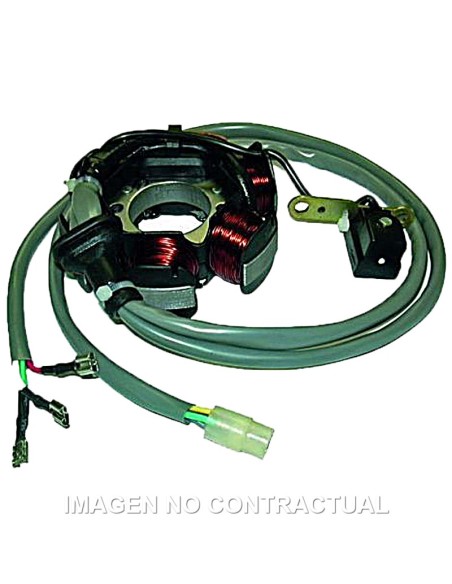 STATOR KOKUSAN 6 POLOS 12V 90W (MOTOR PIAGGIO 50 2T)
