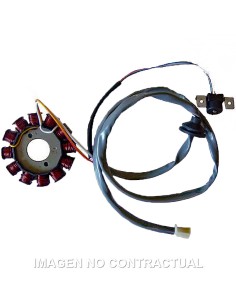 STATOR SGR 12 POLOS CON PICK-UP 2 CABLES(MOTOR YAMAHA 50 2T