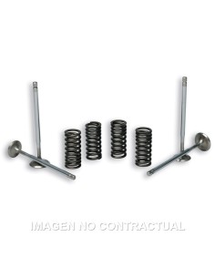 VALVULAS MALOSSI C/ MUELLES MOTOR PIAGGIO LEADER