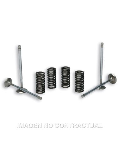 VALVULAS MALOSSI C/ MUELLES MOTOR PIAGGIO LEADER