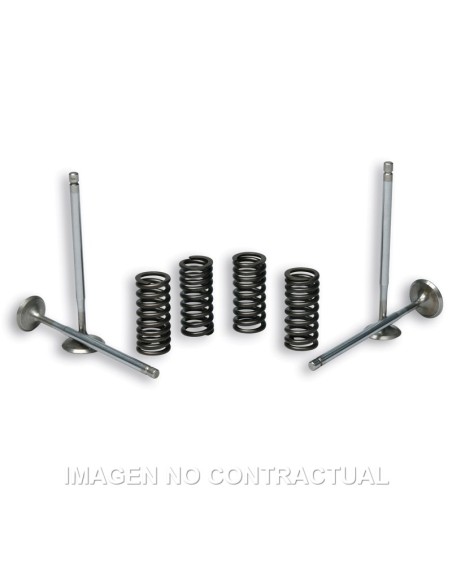 VALVULAS MALOSSI C/ MUELLES MOTOR PIAGGIO LEADER