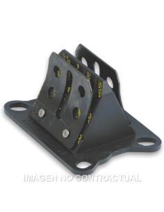 CAJA LAMINAS DE CARBONO VL6 MOTOR AM6, NSR 75