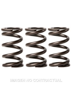 MUELLES MALOSSI VALVULAS MOTOR  PIAGGIO LIBERTY 3V