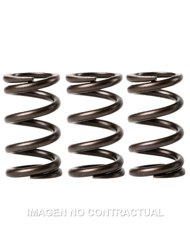 MUELLES MALOSSI VALVULAS MOTOR  PIAGGIO LIBERTY 3V