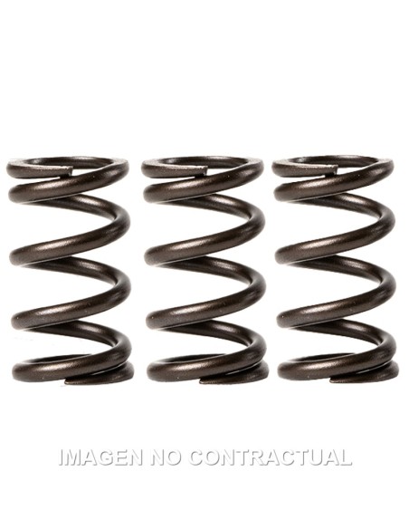 MUELLES MALOSSI VALVULAS MOTOR  PIAGGIO LIBERTY 3V