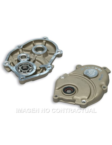 TAPA CUBREDESMULTIPLICADOR MALOSSI MOTOR MINARELLI
