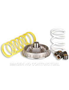 VARIADOR MULTIVAR 2000 FORESIGHT 250