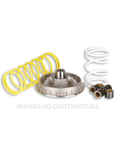 VARIADOR MULTIVAR 2000 FORESIGHT 250