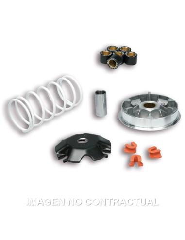 VARIADOR MULTIVAR MALOSSI HONDA LEAD 110