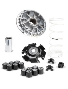 VARIADOR MALOSSI MULTIVAR HONDA PCX 125 EURO5