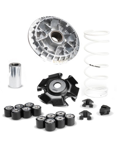 VARIADOR MALOSSI MULTIVAR HONDA PCX 125 EURO5