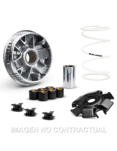 VARIADOR MALOSSI MULTIVAR VESPA GTS 310 IE 4T E5+