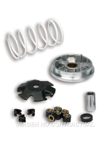 VARIADOR MULTIVAR PEUGEOT BUXY ZENITH, SPEEDAKE