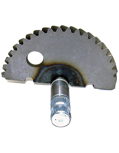 SECTOR PUESTA EN MARCHA BUXY, SPEEDAKE, ZENITH