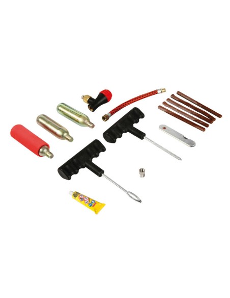 GO-PRO, KIT DE REPARACION PARA NEUMATICOS SIN CAMARA