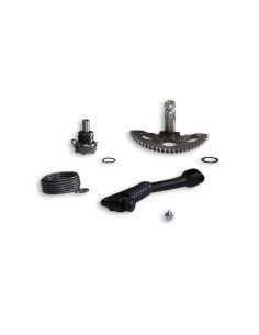 TORNILLERIA Y KIT ARRANQUE MALOSSI CARTER RC