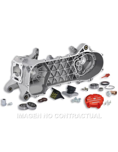 CARTER MOTOR COMPLETO MALOSSI RC-ONE PIAGGIO 50