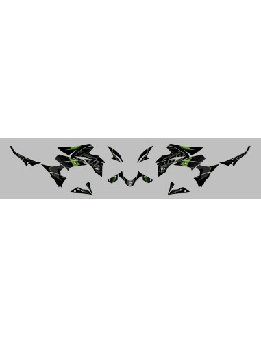 KIT DECO UP MAXIMIZE NEGRO-VERDE KAWASAKI Z800