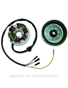 VOLANTE MAGNETICO 6 POLOS 12V 100W (MOTOR MINARELLI 50 AM345