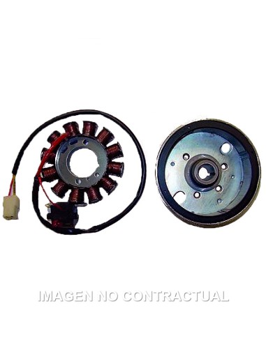 VOLANTE MAGNETICO 12 POLOS 12V 120W