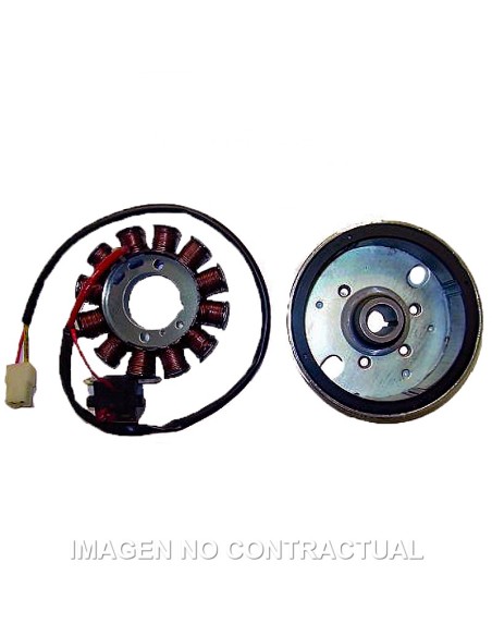 VOLANTE MAGNETICO 12 POLOS 12V 120W