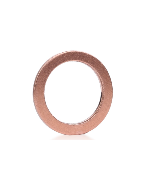 Anillo de sellado 13.2X21.8X2MM OEM (Rec. Original)