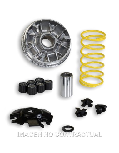 VARIADOR MALOSSI MULTIVAR LINHAI MONARCH 125