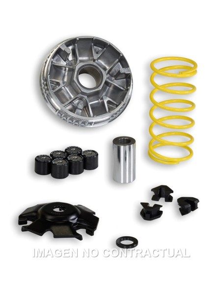 VARIADOR MALOSSI MULTIVAR LINHAI MONARCH 125