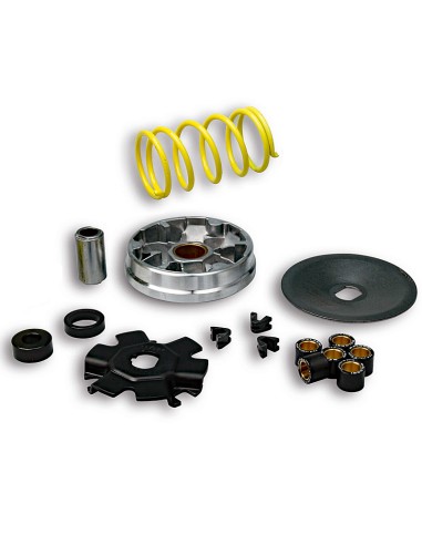 VARIADOR MALOSSI MULTIVAR PIAGGIO 50