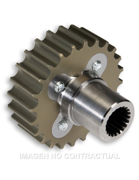Piñon Malossi K Drive 24 dientes Kymco AK 550 