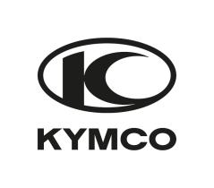 KYMCO ORIGINAL 43351-LFB5-900 - DISCO TRASERO KYMCO ORIGINAL